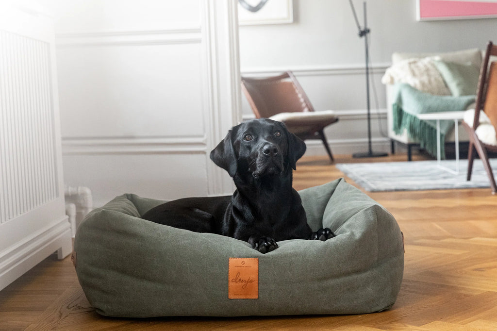 Square Dog Beds