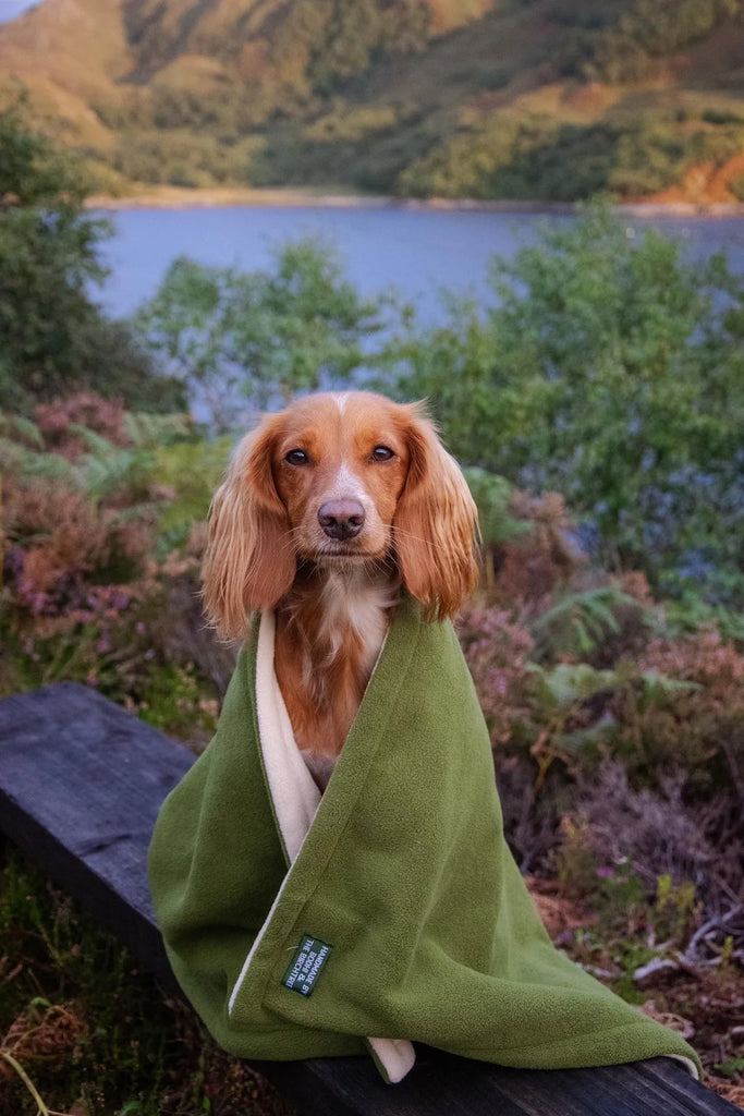 green dog blanket